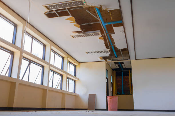 Best Water damage restoration cost  in Greenwood, MS
