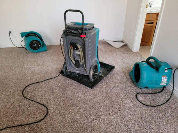 Best 24-hour water damage restoration  in Greenwood, MS