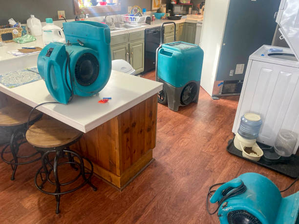 Best Residential water damage restoration  in Greenwood, MS