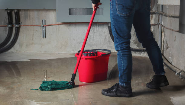 Best Flooded house restoration  in Greenwood, MS