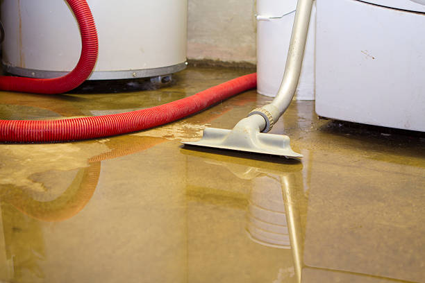 Best Emergency water damage restoration  in Greenwood, MS