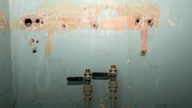 Best Fire Damage Restoration  in Greenwood, MS
