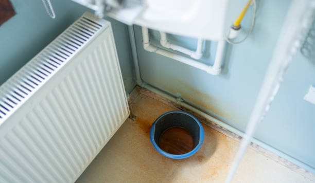 Best Sewage cleanup and water damage restoration  in Greenwood, MS